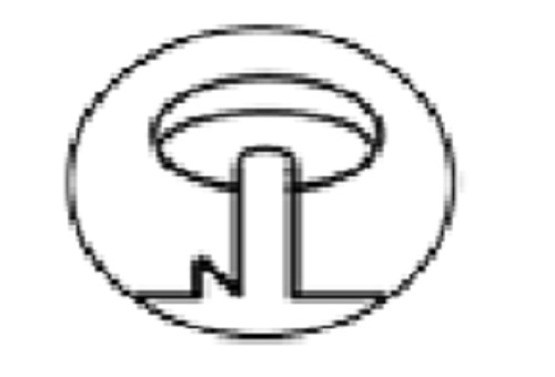  NGUYEN LONG JSC logo